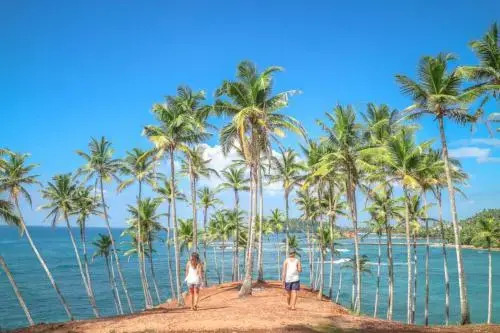 Hotel Dreams Lanka