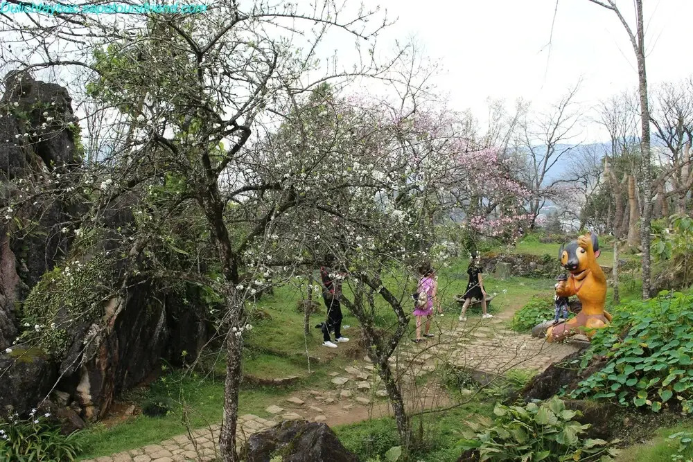 Sapa Sunflower Hotel