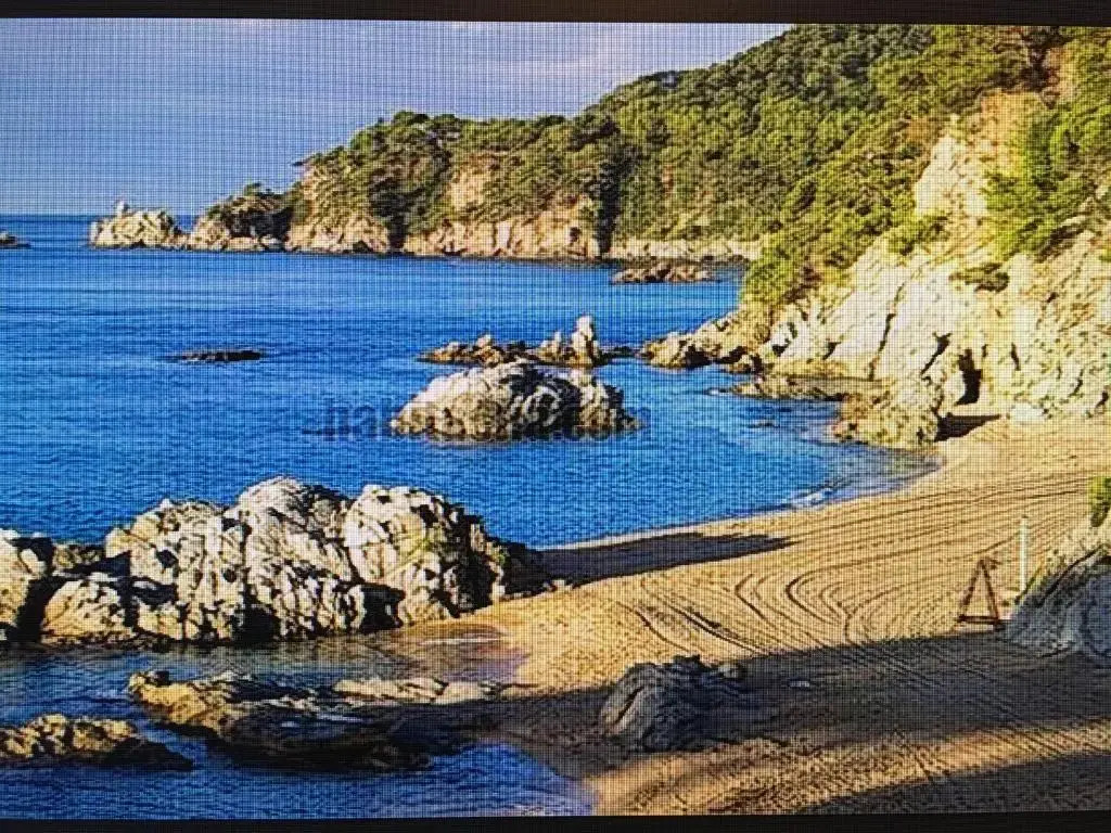 Al lado del mar "Villa Tortuga 12"