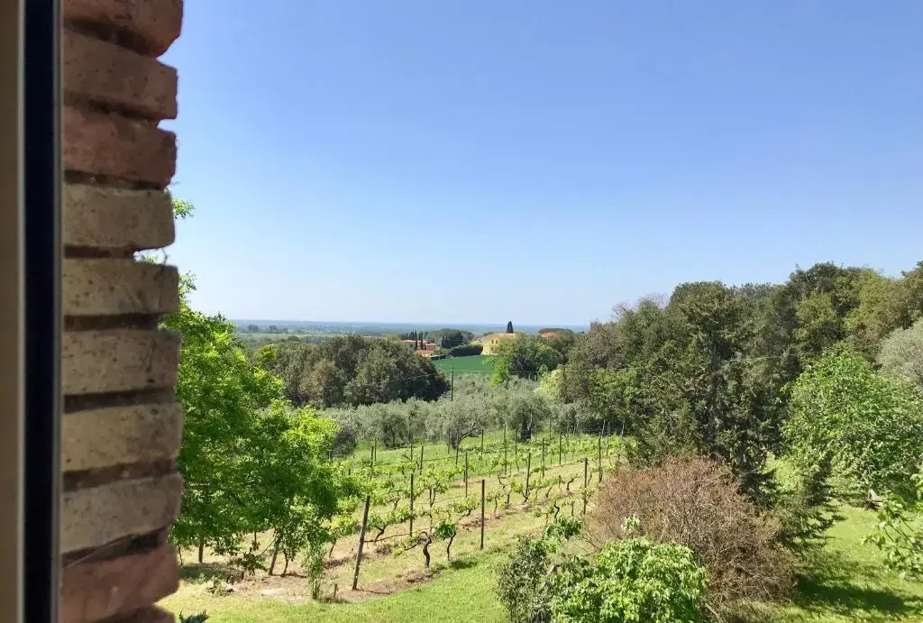 Agriturismo La Leccia