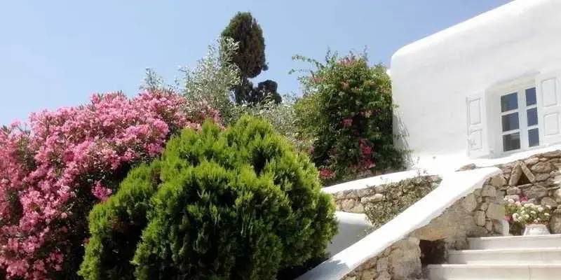 Seaside Cottage by Belvedere