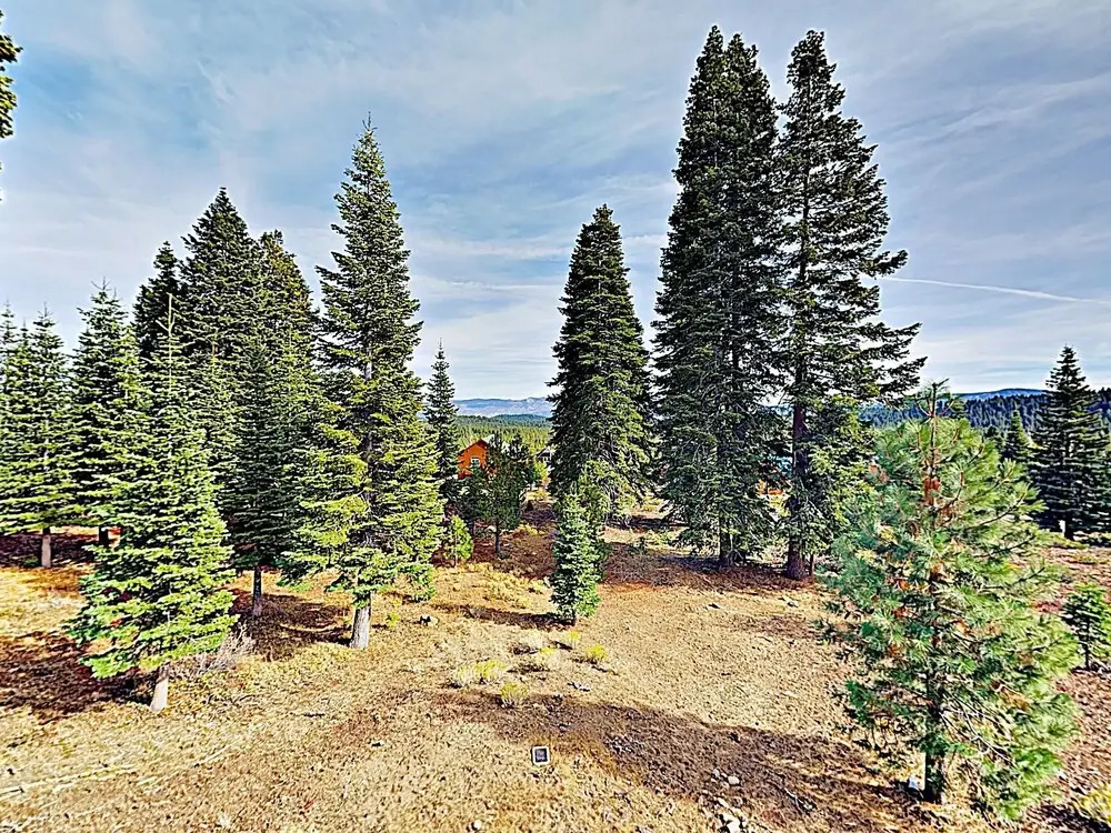 13245 Skislope Way - 4 Br Home