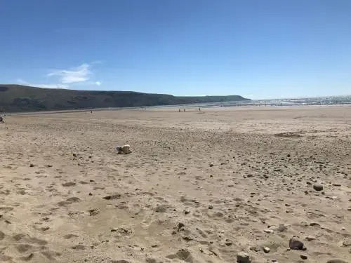 The Sandpiper