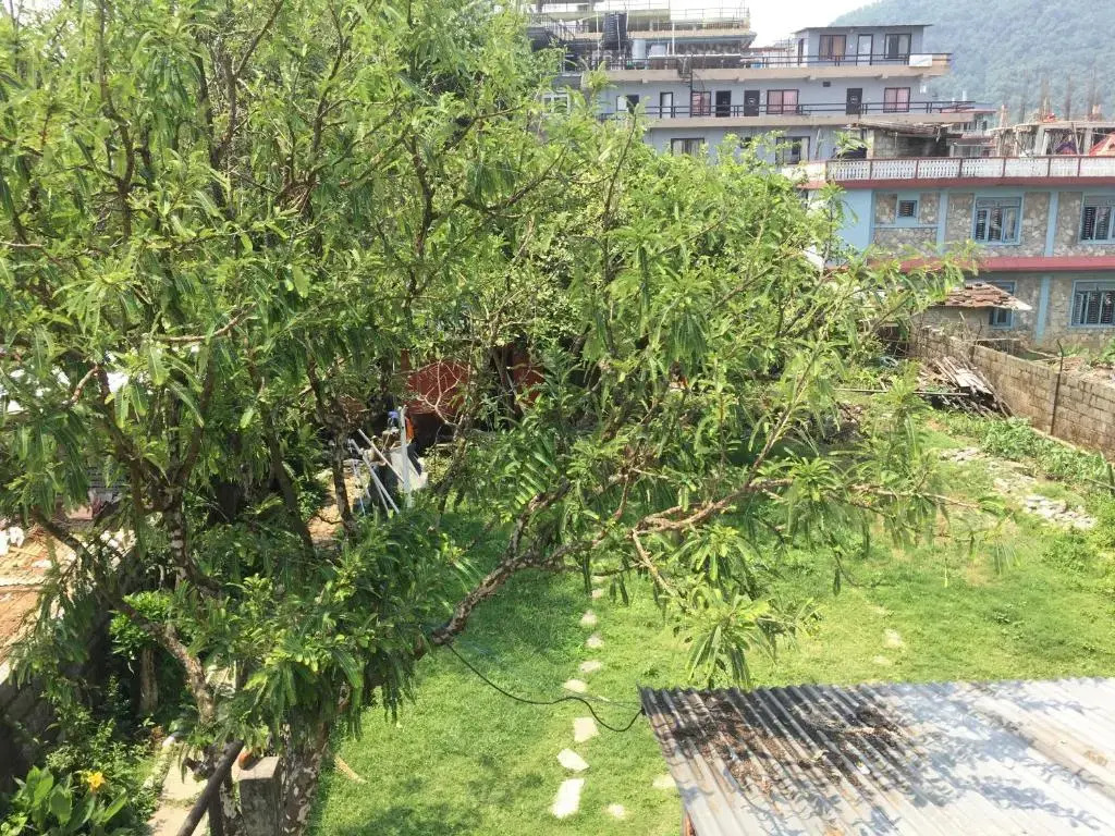 Nepalaya Eco Hostel