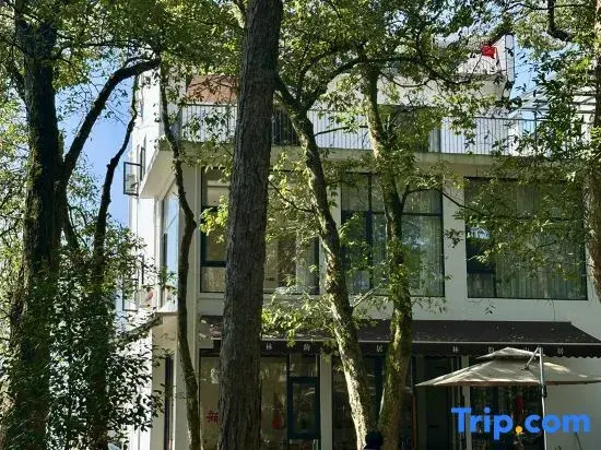 Shimen Linyun · Natural Oxygen Bar Resort Homestay