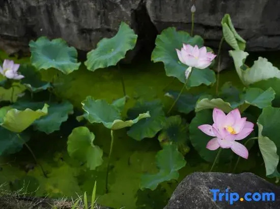 Qingxiang Manchu Guesthouse