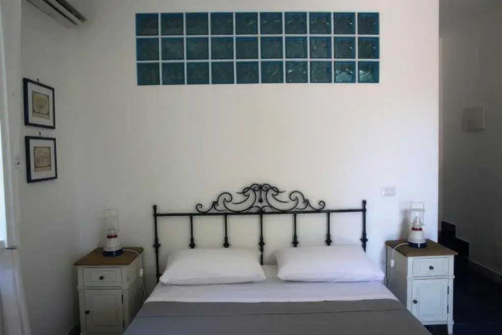 Avocado B&B Beyond