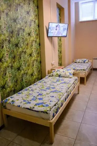 Hostel Sova