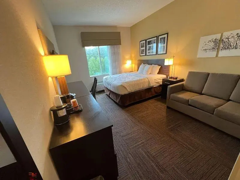 Sleep Inn Jonesboro-Hodge