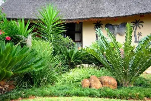 Palmwag Tzaneen