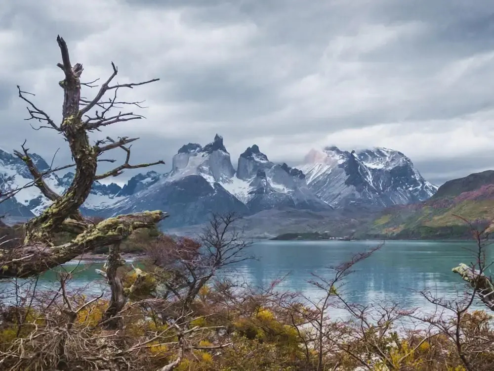 Hotel Estancia El Ovejero Patagónico