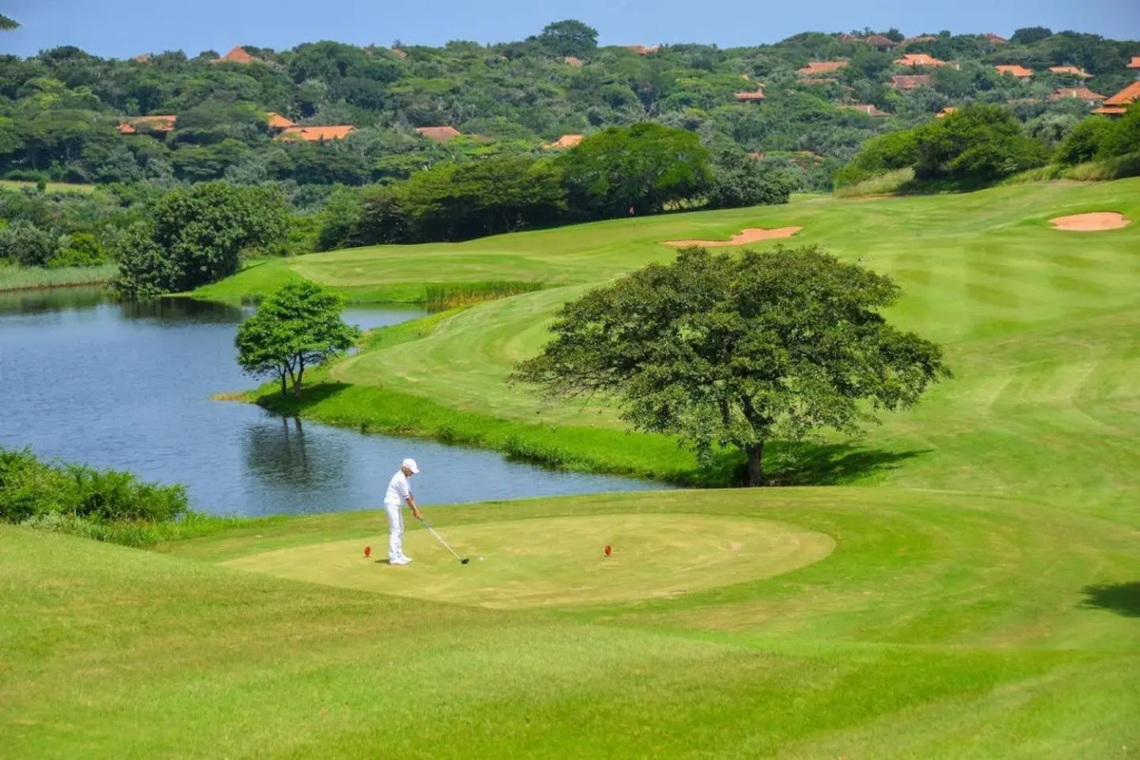 Suite 501, Zimbali Suites