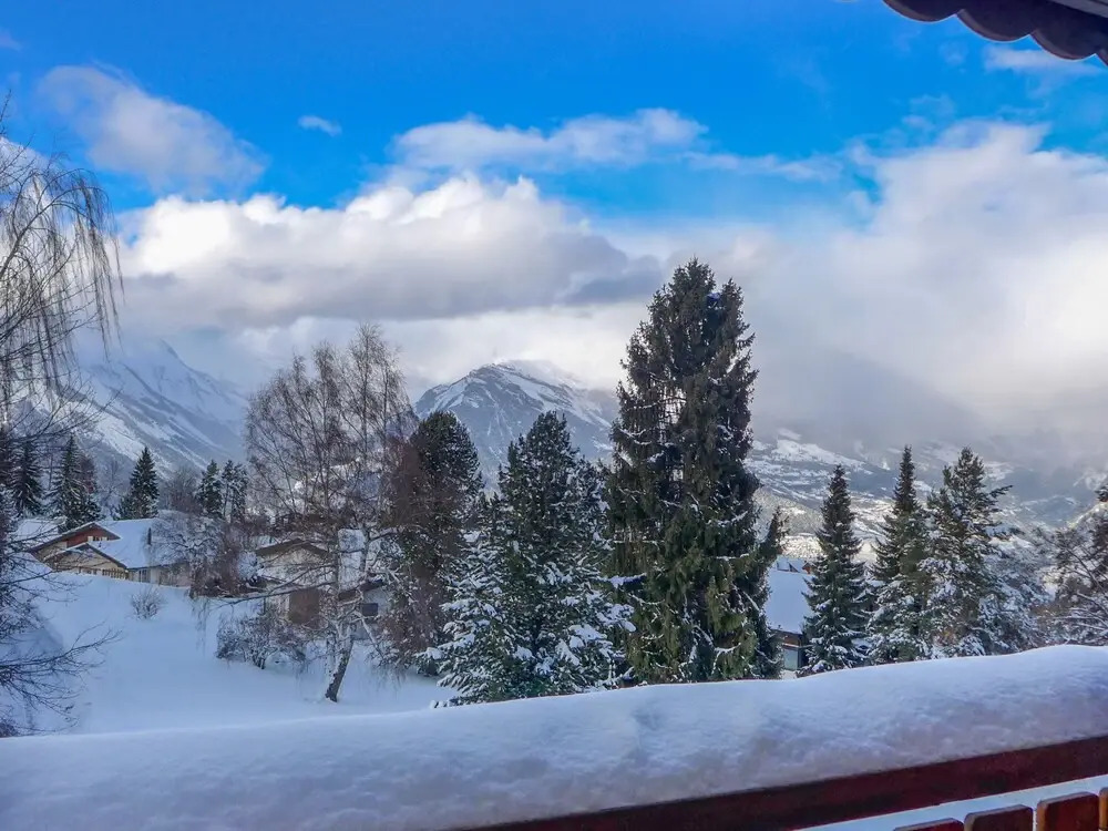 Cimes-blanches A 302 Haute-nendaz