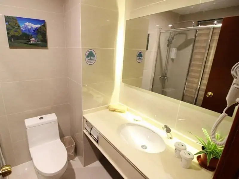 GreenTree Inn Jiangsu Wuxi Huishan High-Speed Rail Qianzhou Chongwen Road Business Hotel