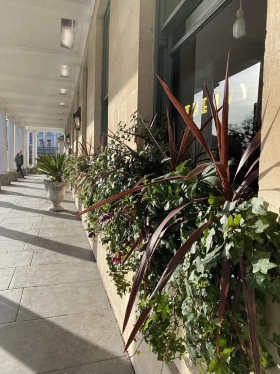 Suitely Albion Place
