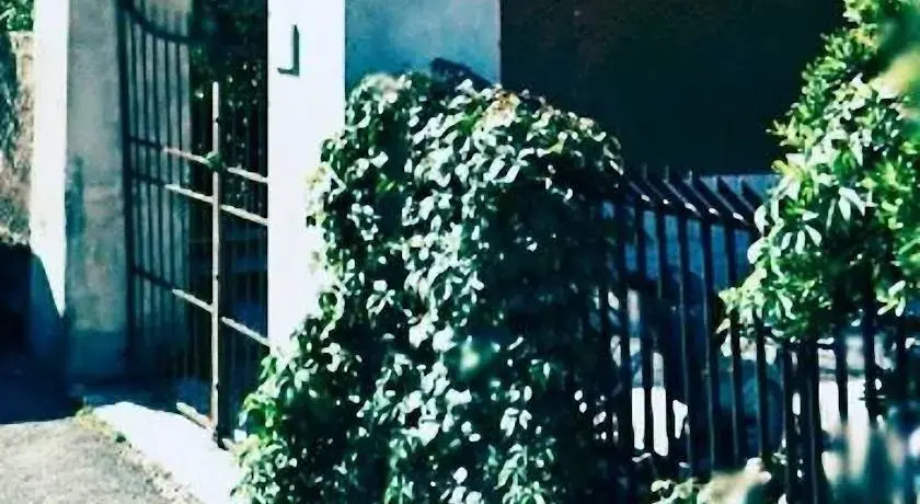 D&G House