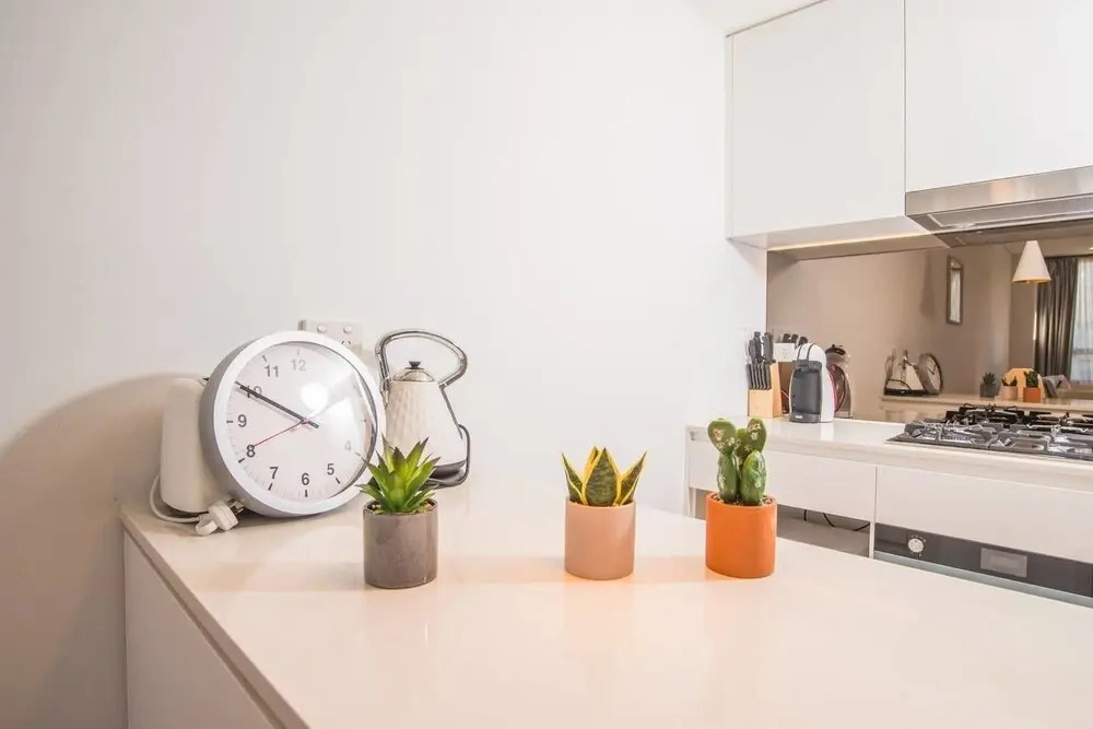 Roseberry Apartment For Travelling Couple In Green Square