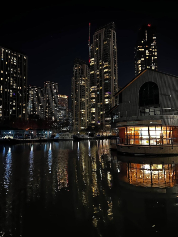 The Panoramic Urban Oasis