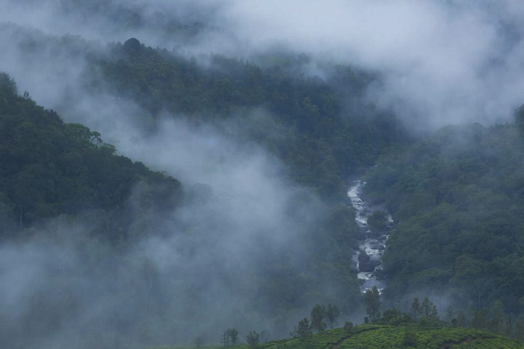 Fragrant Nature Munnar - A Five Star Classified Hotel