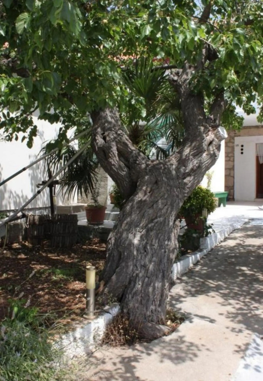 Tonci - 30 m from beach - A2 Gori (2+1)