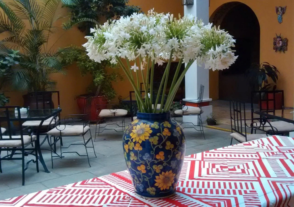 Hotel Aitana Oaxaca