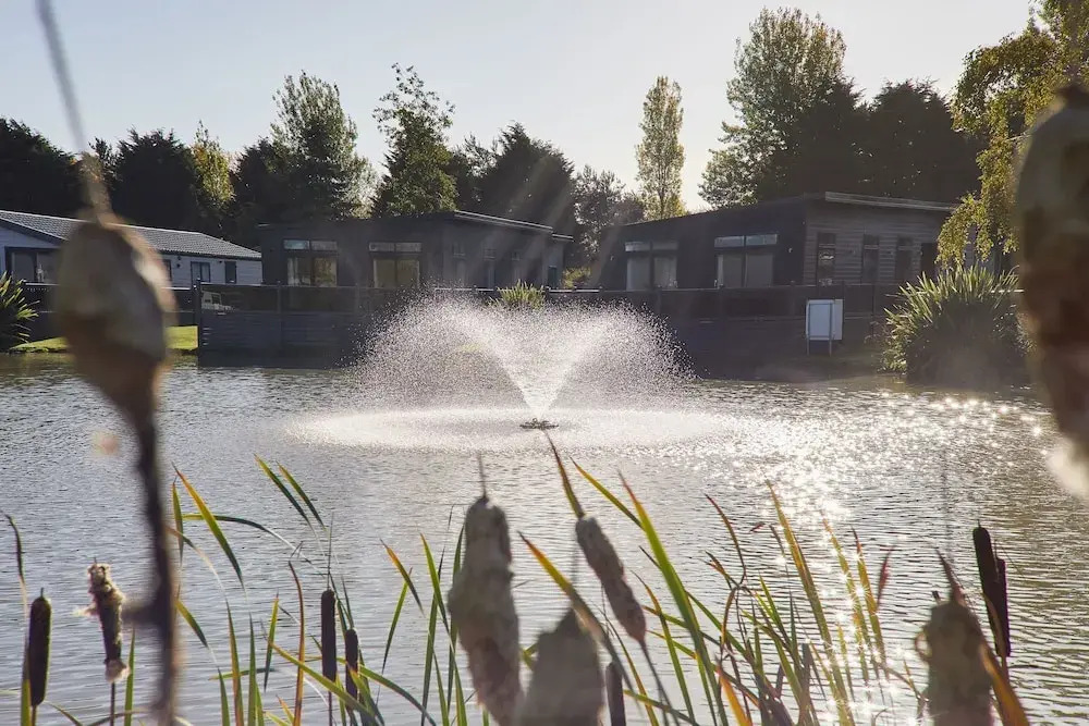 Host Stay Ailsa Lodge