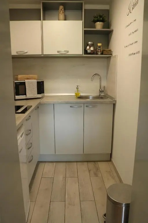 Apartment Elize