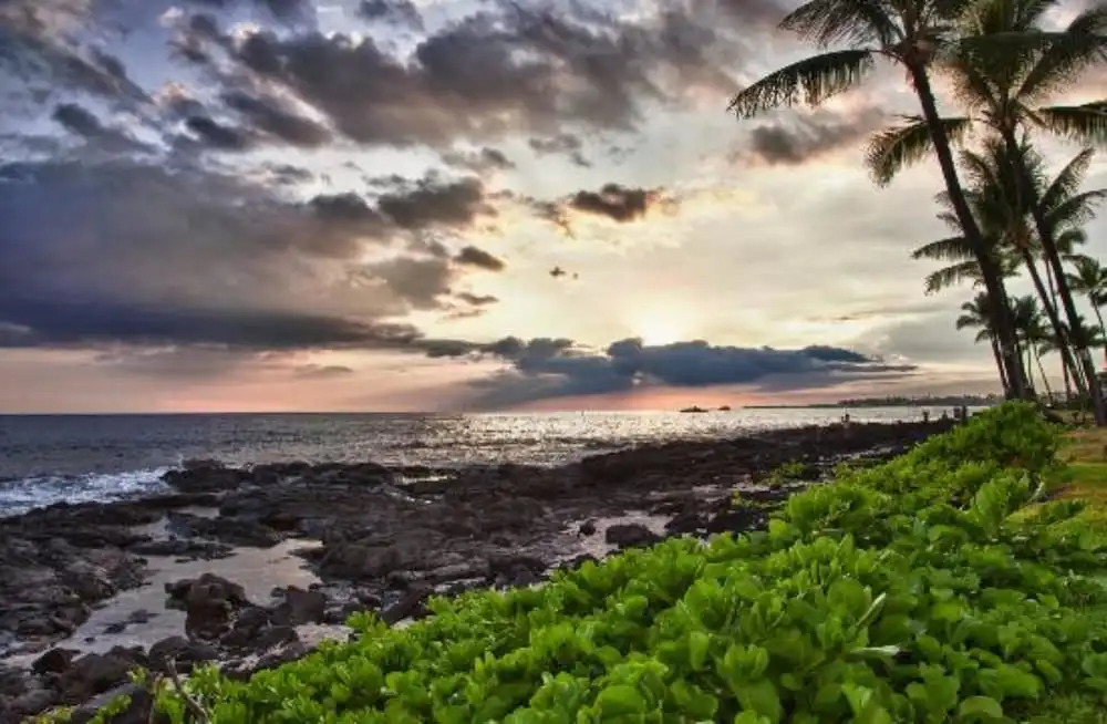 Beach Condo in the Heart of Kona