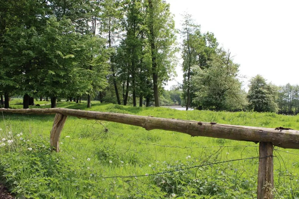 Haus Kornfeld