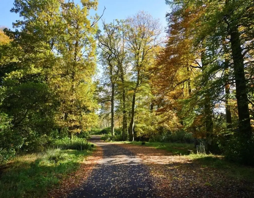 Loch Lomond Finnich Cottages
