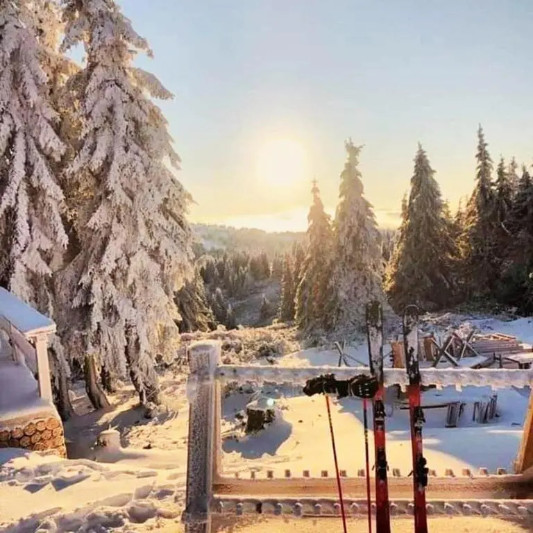 Apartman “N 17”Milmari-Kopaonik