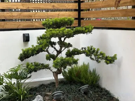 Chuangxuan Homestay