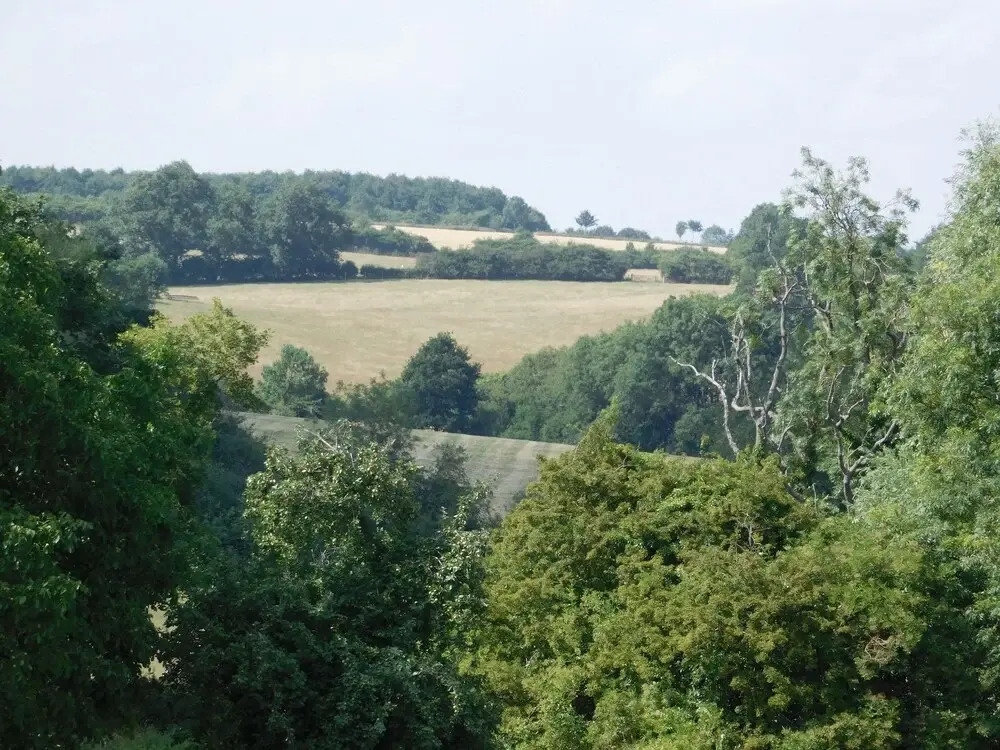 The Star Inn