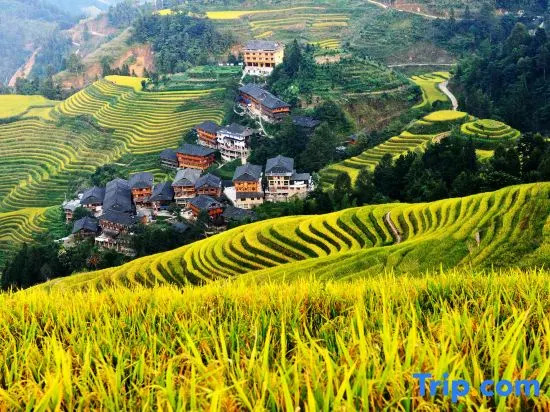 Longji Terrace Shiguang Guesthouse