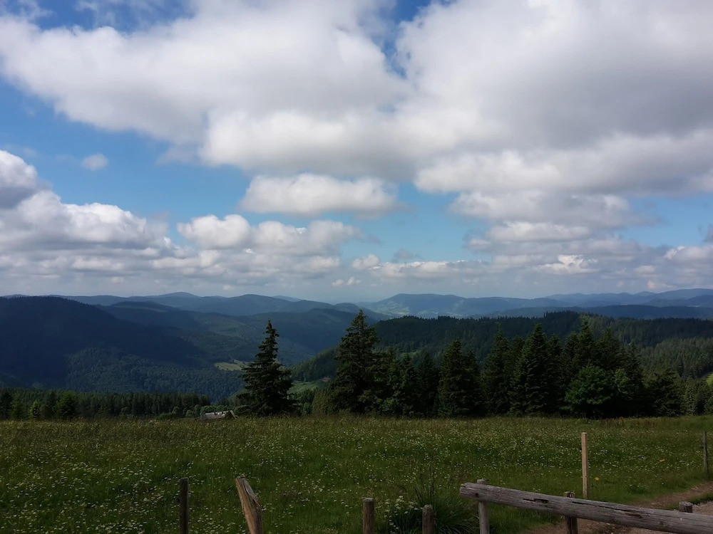 Hotel Gasthaus Hirschen Todtnau Brandenberg Hochschwarzwald Feldberg