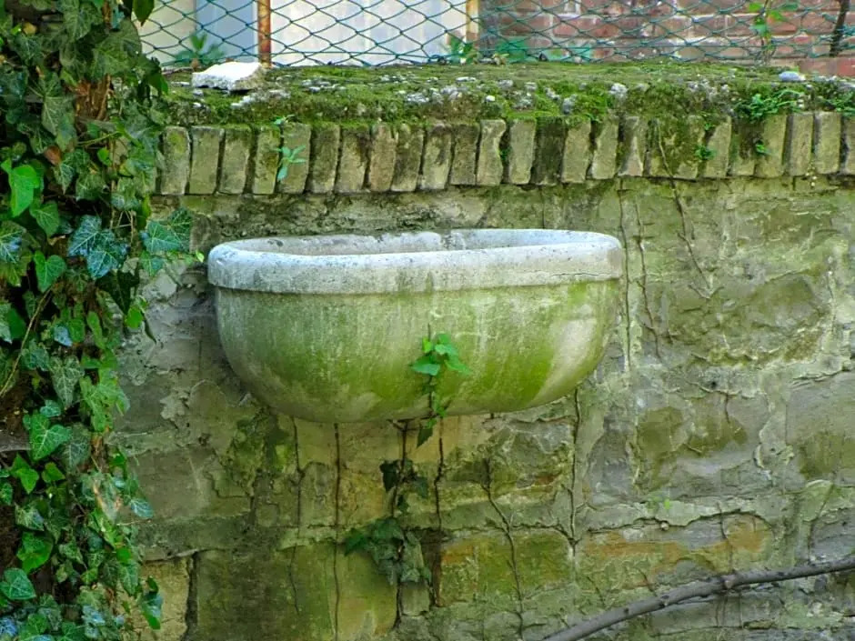 Le Ortensie di Via Rossetti