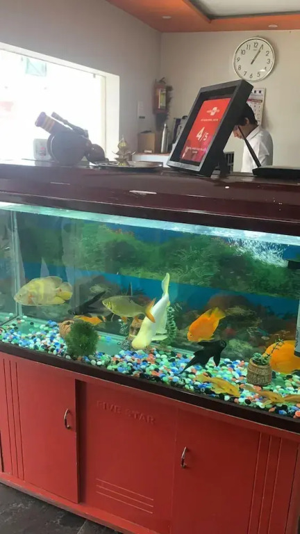 Hotel Shreeji Palace