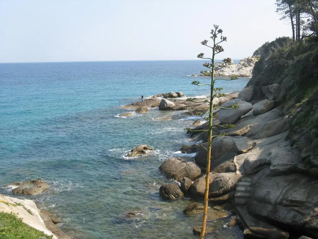 Hotel da Giacomino