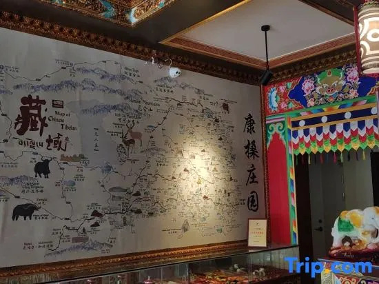 kangsangshuangy