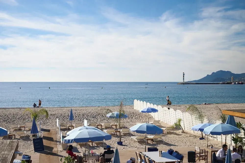 Le XV Cannes