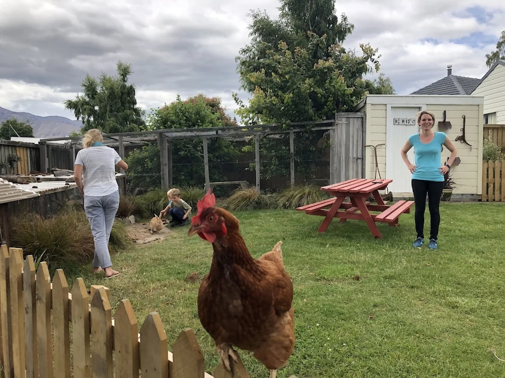 Tailor Made Tekapo Accommodation - Hostel