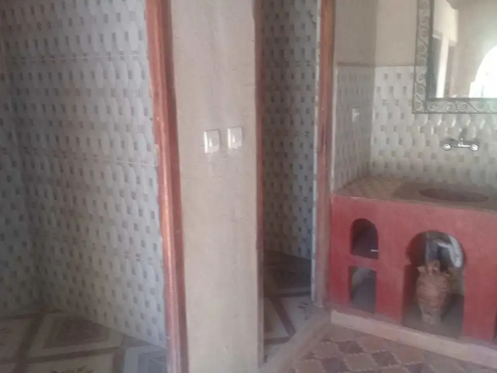 Riad Akour