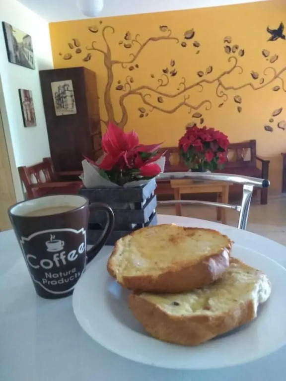 Los Nardos Hostel