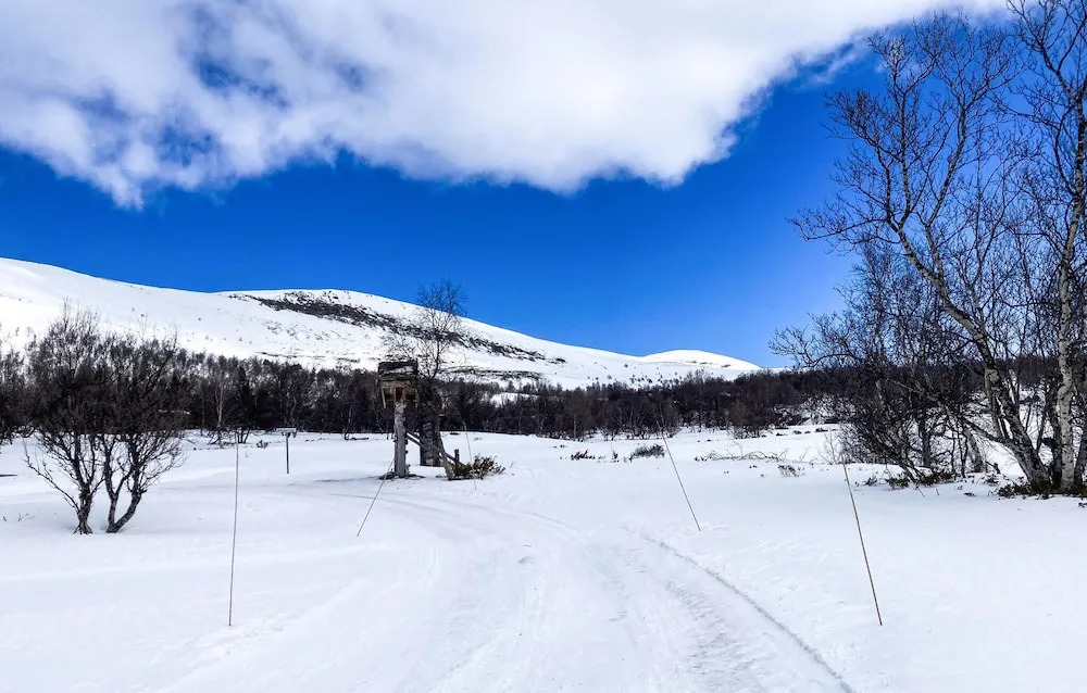 Amazing Home in Dovre With Sauna and 3 Bedrooms
