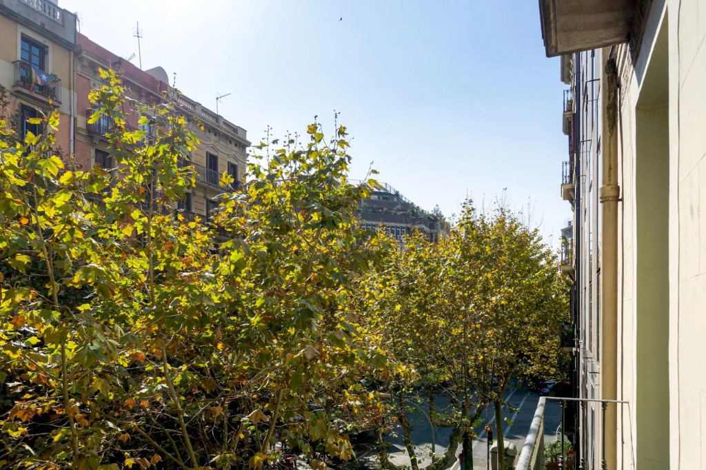 MIRO K · New apartment located in safe and central Eixample