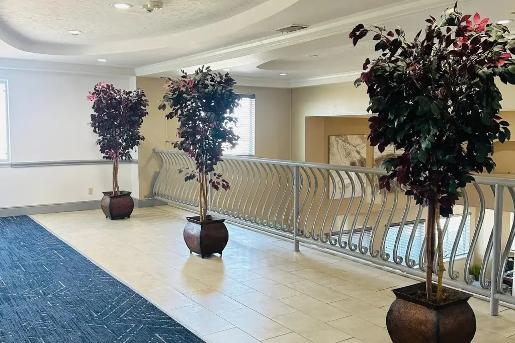 Comfort Inn & Suites Wylie