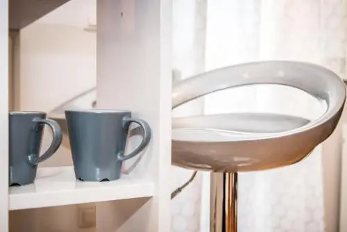 Apartment Roko