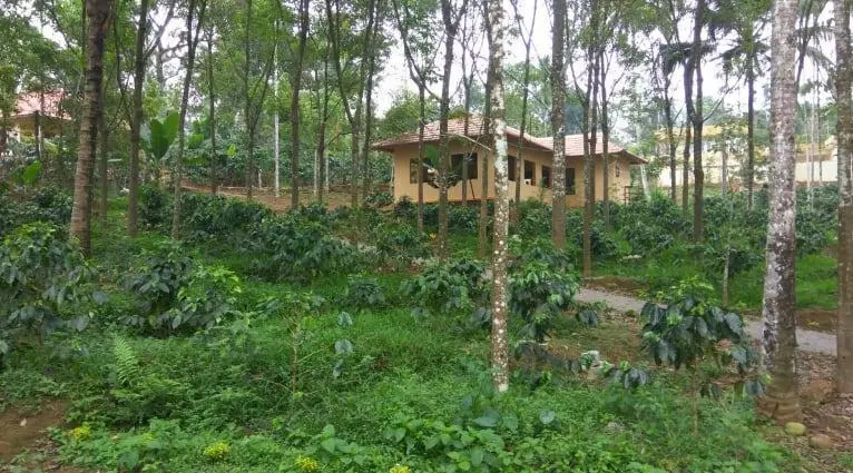 Himadri Retreat Cottages