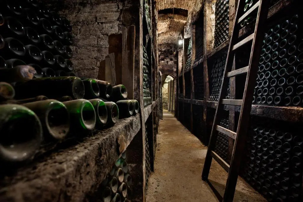 Rioja & Vino