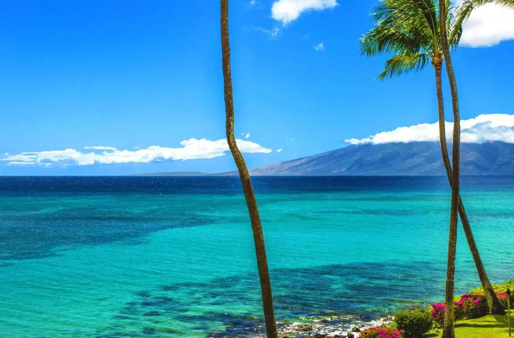 Kuleana Resort 719